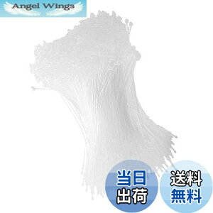 yzDFsucces ^Ot@Xi[ [vbN 1000{ lD ɕ֗ [vs vX`bN Xܗp e[v  ^O Ɩp mp (, 18cm)