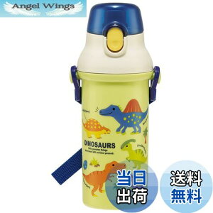 yzXP[^[(Skater)  fBmTEX sN`[ 480ml qp j̎q R vX`bN { PSB5SANAG-A