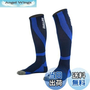 yzfCgi(Daytona) oCNp C t[TCY tďH~ iK RۖhL CI Jy\bNX lCr[ 31441