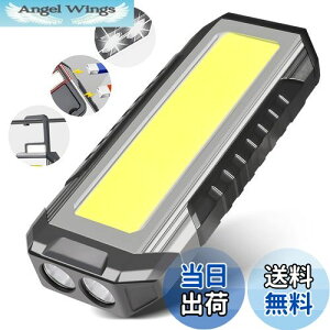 yzCHAMCHOI LEDƓ [NCg led [dyő3000LM 5000mAHe IP66hzPx 7_[h ̓}Olbg Type-C[d tbNt d@\ pCg RpNg 