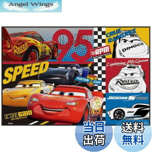 yzXP[^[ (skater) W[V[g STCY 60×90cm fBYj[ J[Y 22 VS1-A