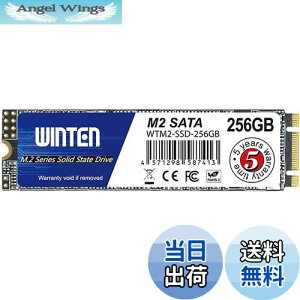 yzWINTEN SSD M.2 SATA 256GB 2280 3D NAND SATA3 6Gb/siőǎ 500MB/s ő发 500MB/sjG[@\ ȓd Ռɋ ^yzWTM2-SSD-256GB 6083