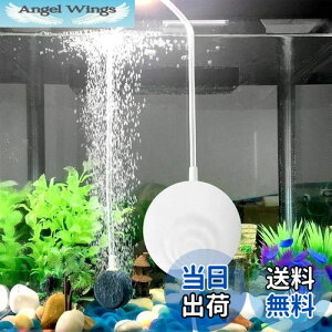 yzZHHMl GA[|v ^GA[|v 0.3L / MinC̔ro C|v ᑛ Iɐ/̎_f񋟉\ (zCg)