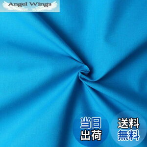 yz{Rtf(Nippon Chuko) GCeBXNGA n n 100% V[eBO ^[RCY u[n Ж108cm×50cmؔJbg KD4630-247-50CM