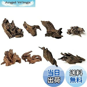 yz8 كVN R GCuؐ̑ i 8`10cmj