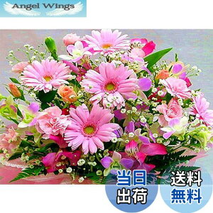 yzDIYNXXeb`Lbg_ChG5DhLbgAsN̔WOWDECORthDIY_ChA[gyCgG (t[Y)