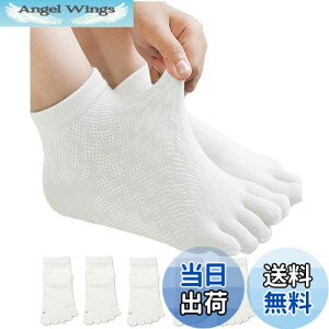 yz[InSomila] [C\~] 5{w\bNX qp ėpC XN[\bNX C bV ̎q j̎q LbY \bNX n 5Zbg  C q  ʊwp \b