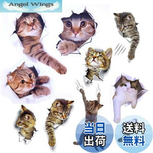 yzPazi EH[XebJ[ L   XebJ[ ˂ V[ 킢 3D ȒP DIY  \Ă͂  ǎ gC  Lb` CeA