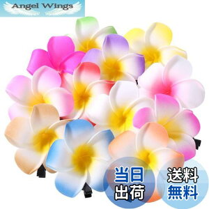 yzFrcolor  wAs wANbv  vA wAANZT[ wANbv nC  wbhhX 6cm 12F 24Zbg