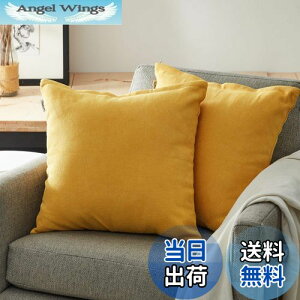 yzTopfinel NbVJo[ lۂ 45×45cm k  Ȗ n \t@w Jo[ zcJo[ CG[ 2ZbgiS10Fj