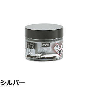 �y���������z�M���f�B���O���b�N�X SURFACE_PROTECTION_WAX