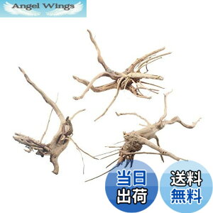 �y���������zemours �����ٗp���� �������� �V�R�N�� �؂̎} �� �� �l�X�ȃT�C�Y 3�p�b�N (S/M-3�p�b�N)