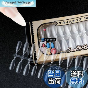 yzSun&Beam Nails lC`bv  lCp DIYp NA lC   t e [{bNXt 12TCY 504 FFOA[hATCYF15TCY