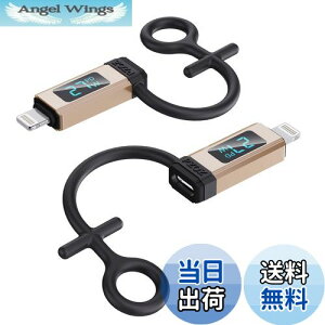 yzPZOZ (2Zbg)Typec Lightning ϊ ^Cvc CgjO ϊ PD 27W}[d o̓fBXvC iPhone ϊA_v^ USB CgjO ϊ USB Lightning ϊ