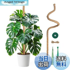 yzMcbazel ϗtA x Xe 120CM |px Ȃ\ RRibcEAx K[fjOp 7MM RCA|[p ێE{ێE_ƁE |p