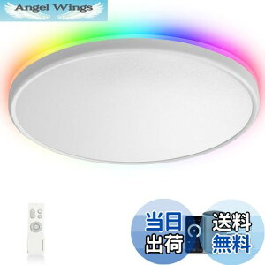 yzTALOYA AlexaΉ X}[g LEDV[OCg 10 12 4860lm tJ[  AvF Echo/Google Home/Smart life 40W+4W [J[ (AlexaΉ 460mm)