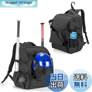 yzDSLEAF 싅 bN 4{obg[ 싅 obO V[Y[t (ubN)