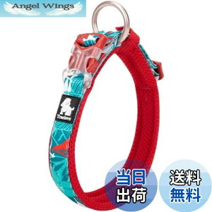 yzcocomall{X  ̎ pP ^A^A^p ybgpi 3Mˍޗ iC ʋC e͐ \tg ߉\ (S, blue&red)