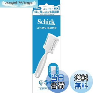 yzSchick(VbN) Sgp XLJ~\ Y wAg}[ zCg (1{)