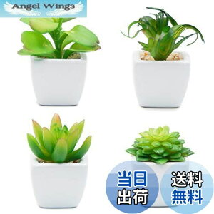 yzTOSSOW lHA ~j lHϗtA  ͂Ȃ CeA 4_Zbg ` v[g