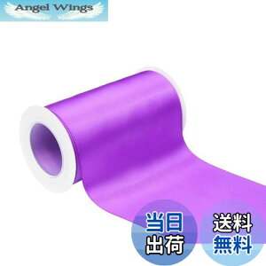 yzyIDECORRIBBONSz100mm ʃTe{ 4.5m #465p[v