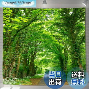 yzU-SITU ^yXg[ Ǌ| Ǐ ъԓH X  RiF IV wi @\ z|X^[ CeA ͋C]iTCYF180cm x 180cmjJ[FGT0794FC