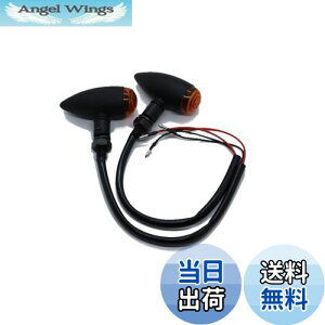 yzBeatus eی^ ~j ECJ[ lWa10mm oCN ėp JX^ p[c 12V 2Zbg LEDł͂܂ (ubN×Ao[ 2)