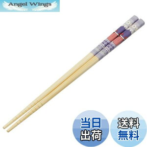 yzXP[^[(Skater) |S  | 21cm |PbgX^[ QK[  ANT4-A