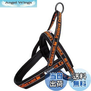 yzcocomall AɗDn[lX 2022ŐV TRUE LOVE{X pn[lX p hbO ybgpi 3Mˍޗ P o lIvf ^A^A^Ɍ ʋC