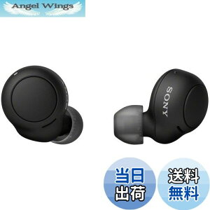 yz\j[(SONY) SCXCz WF-C500 : /yʏ^5.4g/xʘbi/ȒPyAO/IPX4hH\/ubN WF-C500 BZ