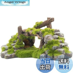 yzS-Lifeeling    A ؂̈  T ^N   GrVF^[