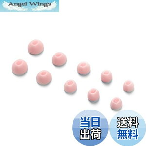 【送料無料】Anker Soundcore Liberty 4 NC専用イヤーピース【完全ワイヤレスイヤホン向けイヤーチップ/シリコン / 2層構造 / 5サイズ 各1ペア / 10個入り / XS/S/M/L/XL 】(Soundcore Liberty 4 NC ブラック 対応)