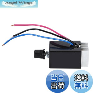 �y���������zLezalic 12V 24V �d���p �V�����f���A ������ 10A �g���b�N��Y �f�R�g�� �j�̏� �Ɩ� �ό��o�X �T�����o�X (1��)