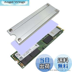 �y���������z�e�a�Y�� �������쏊 M.2 SSD�p�q�[�g�V���N�J�o�[SS-M2S-HS02