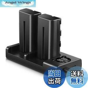 �y���������zENEGON Sony NP-F550/NP-F570�݊��o�b�e���[�i2�j2900mAh+USB�[�d�� �Ή�NP-F530/ NP-F550 /NP-F570/ NP-F330/ CCD-RV100/ RV200/ TR1 /TR940 /TR917 /CN-160 /CN-216 /CN-304 /YN 300 /V607u /V617u