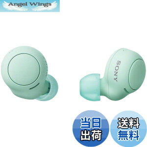�y���������z�\�j�[(SONY) ���S���C�����X�C���z�� WF-C500 : /�y�ʏ��^5.4g/�����x�ʘb�i��/�ȒP�y�A�����O/IPX4�h�H���\/�A�C�X�O���[�� WF-C500 GZ