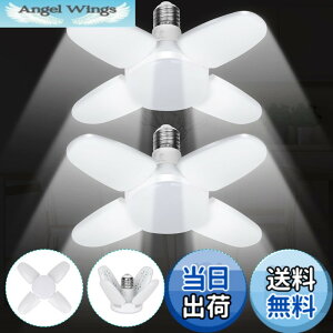 �y���������zJornarshar ���~�j LED���C�g �K���[�W���C�g 45W 2�� ���� ������LED�d�� 6500K �V��Ɩ� ��t�ȒP �H���s�v �p�x���߉\ �J�[�|�[�g �Ԍ� �q�� �[�� ��Ɠ� �����F