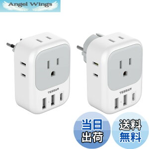 �y���������zTESSAN �ϊ��v���O C�^�C�v SE�^�C�v �C�O���s�p 4��AC������ 3USB�|�[�g�t�� �؍�/�C�^���A/�X�y�C��/�h�C�c ���[���b�p�Ȃǂ̍��ɑΉ�