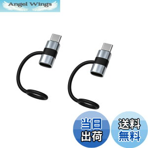 �y���������zYFFSFDC Lightning to Type C �ϊ��A�_�v�^�[ 2�Z�b�g Type C to ���C�g�j���O �ϊ��A�_�v�^ 60W PD�}���[�d �����f�[�^�]���i�C���z���Ή��s��) USB-C Phone �ϊ��R�l�N�^ �փA���~�j�E����