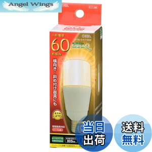 �y���������zLED�d�� T�` E17 60�`���� �d���F LDT6L-G-E17 IG92 06-3739 OHM �I�[���d�@