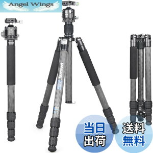 �y9��1���[9��15���܂�100�~�I�t�z�y���������zINNOREL RT85C �J�[�{�� �O�r �{�[���_�� �L�b�g 184CM �g���x���O�r �v���� �i�b�g���b�N�� �G���x�[�^�[�� �ω׏d 25KG �l�i�r ��r�ώ� �p�C�v�a32