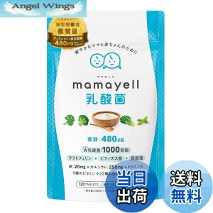 �y���������z�y�t�_x�ۊ��zmamayell �}�}�G�[�� ���_�� �t�_ ���z�� 480��g �D�� �D�w �D�P �Y�� �T�v�������g W���_�� �S �J���V�E�� ���N�g�t�F���� �r�t�B�Y�X�� ���_�� ���� 9��ނ̃r�^�~�� 