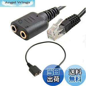 �y���������z�y�֗��ȕϊ��P�[�u����40 by WYVERN AUDIO �z RJ9 4P4C �d�b���v���O ���w�b�h�z�����}�C�N���z�P�[�u��/�A�_�v�^�[ �w�b�h�Z�b�g�iAvaya 1600 9600 SNOM Yealink Phones�j���� ��25cm �T�C�Y�F��