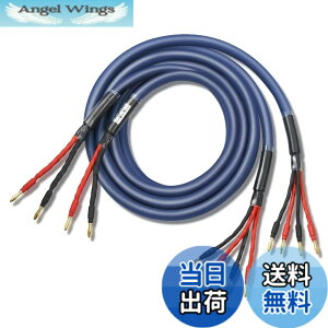 �y���������z�y�o�C���C���[�z WYVERN AUDIO �ɑ� �������x�� 12�c �o�i�i�v���O�t �����i HIFI �o�C���C�������O�ڑ� �o�C���C���[ �X�s�[�J�[�P�[�u�� 2�{1�g LR�Z�b�g �i�u���[�j �yWVA-04BW12�z 