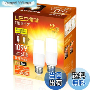 �y���������zT�^ E26/E17 60W 2��/6�Z�b�g �F�F�d���F�A�T�C�Y�FE26���� - 2�Z�b�g