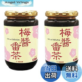 【送料無料】お得な2個セット!!　梅醤番茶 360g x 2個