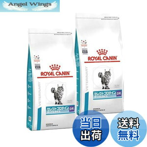 �y���������z���C�����J�i�� �Z���N�g�v���e�C�� �_�b�N�����C�X �L�p 500gx2 �T�C�Y�F2