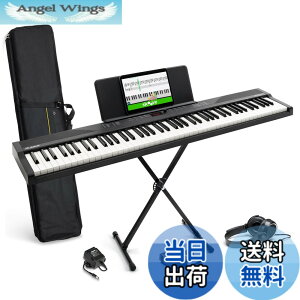 �y���������zAlesis �d�q�s�A�m 88���� Recital Play & Recital Black �F�F�A�N�Z�T���[�t���A�u���b�N�A�T�C�Y�F�A�N�Z�T���[�t��