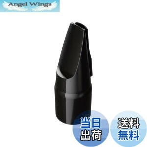 �y���������zRoland ���[�����h Aerophone��p�}�E�X�s�[�X �G�A���t�H�� OP-AE05MPH