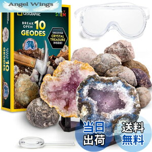 �y���������zNATIONAL GEOGRAPHIC Break Open Geodes�T�C�G���X�L�b�g �| �S�[�O���A�ڍׂȊw�K�K�C�h�A�f�B�X�v���C�X�^���h�t�� - ������N��̍z���w��n���w���D�ƂɍœK��STEM�T�C�G���X�M�t�g